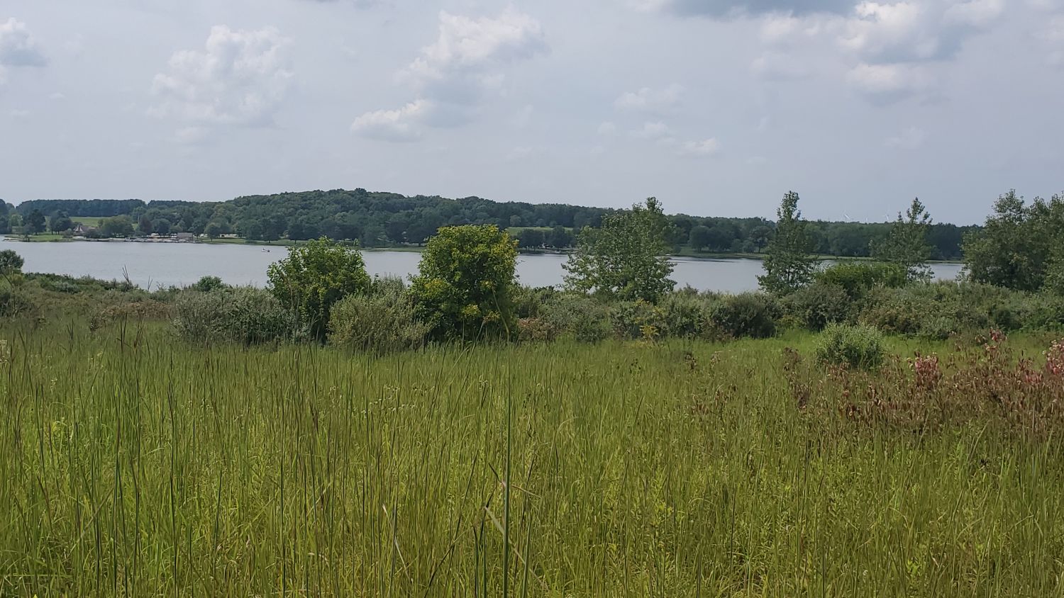 Shabbona Lake State Park 